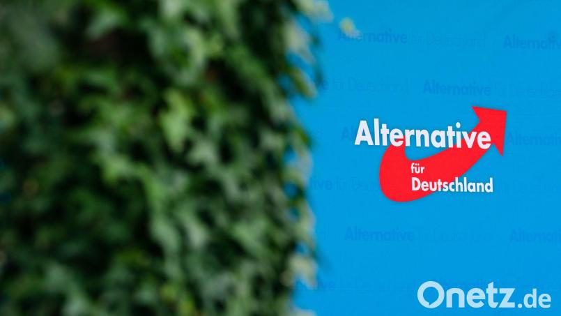 Die Partei Alternative für Deutschland (AfD) präsentiert sich ungewohnt harmonisch. Symbolbild: Nicolas Armer/dpa/Symbolbild