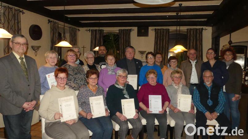 Albert Nickl (stehend, 3. von rechts) verlieh die Ehrennadeln des Landesverbandes (von links) ab Sabine Bartl, Monika Mägerl, Irmgard Lingl, Veronika König, Anneliese Herr, Konrad Dötsch und (hinter Veronika König) Christa Koller und Josef Held aus. Maria Kämpf und Petra Engelmann (stehend, von rechts) ehrten zahlreiche weitere Mitglieder für deren langjährige Treue zum Verein. Dieter Kies (links) sah in ihnen „Stützen der Gesellschaft“. Bild: rn