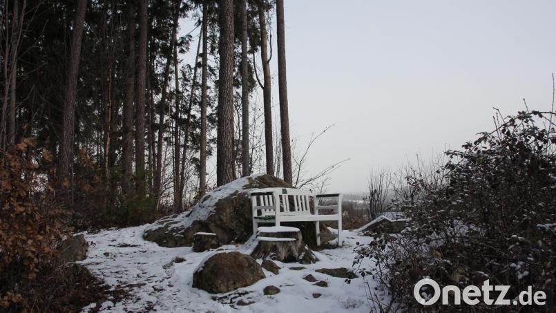 Idyllische Plätze, wie hier auf der Höhe am &quot;Waldfriedens&quot; sind bestens für das &quot;Teunzer Landschaftskino&quot; geeignet. Der Teunzer Gemeinderat reichte einen Förderantrag für das Kleinprojekt ein. Bild: frd