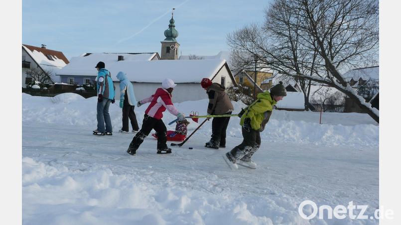 Im aktuellen Winter noch ein Traum: Diese Kinder hatten im Jahr 2010 Spaß mit Schlittschuhen und Schlitten am Marktweiher in Oberviechtach. Archivbild: Portner