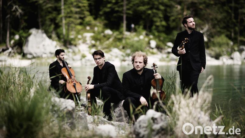 Das Goldmund Quartett bei den Weidener Meisterkonzerten Bild: exb/Goldmund Quartett