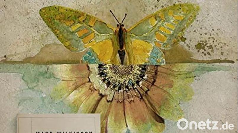 Mark Wilkinson - Mariposa (Nettwerk) Bild: Nettwerk