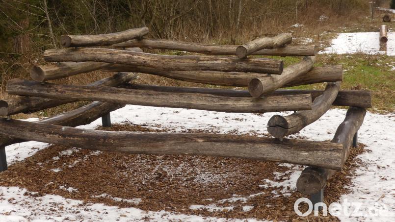 Bietet diese Anlage am Walderlebnispfad bereits einen Vorgeschmack auf den „Marderparcours? Dort soll ein Hindernisparcours entstehen. Bild: rn