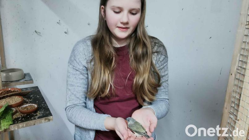 Die 11-jährige Magdalena mit einem jungen Gouldamadin. Bild: gz