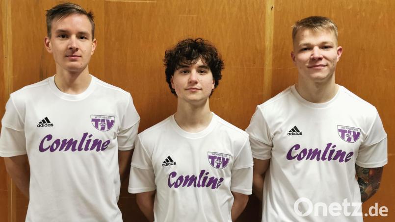 Vaclav Vlnar, Samuel Tezky und Erik Eger sind neu beim TSV Detag Wernberg. Bild: lfj
