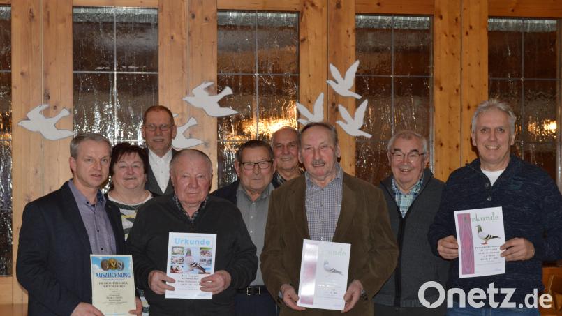 Bei der Siegerehrung (von links): Georg jun. Eichenseer, Erna Niedermeier, Wolfgang Auerbacher, Georg sen. Eichenseer, Franz Demleitner, Walter Schlenk, Michael Niedermeier, Werner Troidl und Richard Dötterl. Bild: Walter Schlenk