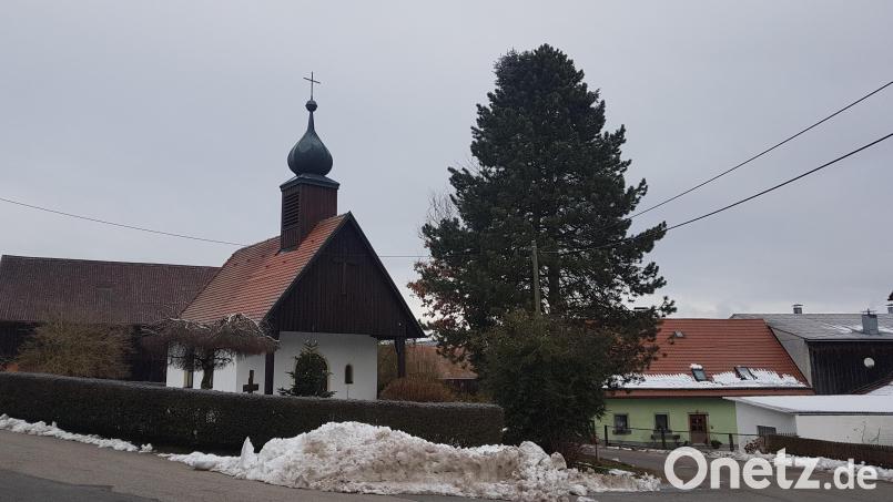 Die drei Bäume an der Dorfkapelle in Rückersrieth haben nach Meinung der Einheimischen nicht mehr die notwendige Sicherheit. Einstimmig stimmten sie deshalb ihrer Entfernung und einer Neuanpflanzung zu. Bild: gi