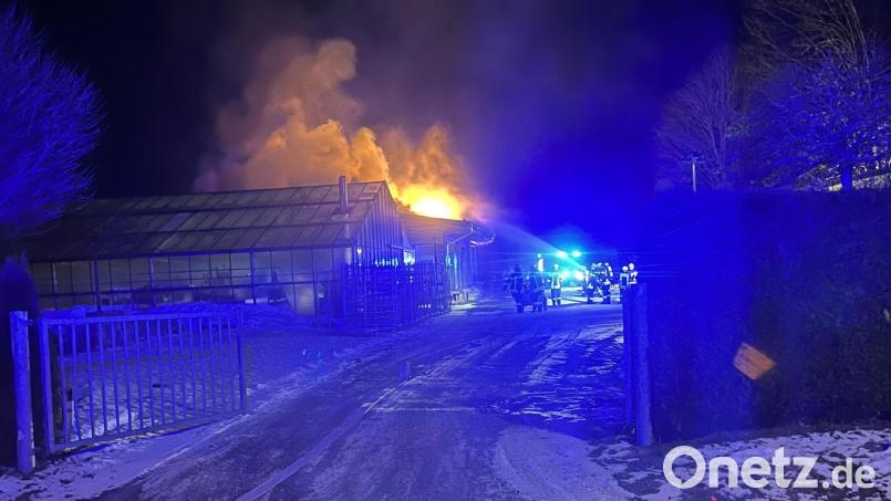 Hell loderten die Flammen aus der Gärtnereihalle in den Nachthimmel. Bild: dob