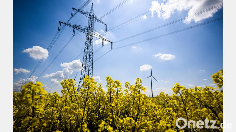 Die SPD-Fraktion im Bayerischen Landtag hat am Montag zur Expertenrunde geladen, Thema war bezahlbare Energie. Symbolbild: Julian Stratenschulte/dpa