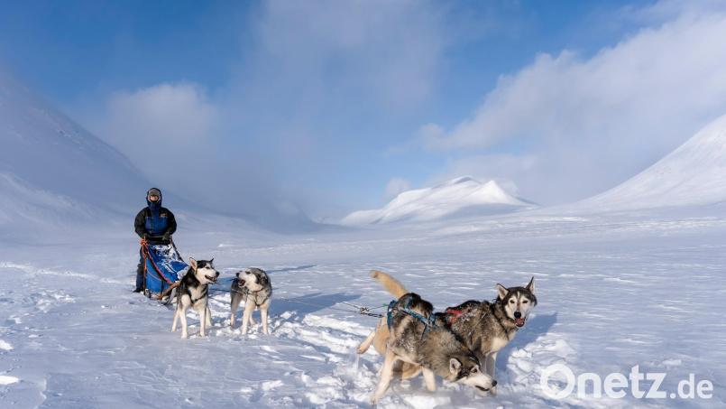 Live-Multivisionsshow - Skandinavien - Norwegen, Schweden &amp; Finnland. - Huskytour auf dem Kungsleden Archivbild: Sandra Butscheike und Steffen Mender/exb