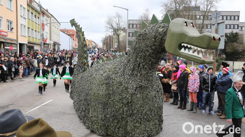 Beim ostbayerischen Faschingszug 2013 war der Lindwurm vor tausenden Zuschauern unterwegs. Archivbild: Gerhard Götz
