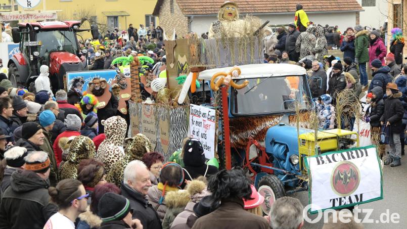 Wenn sich der Faschingszug am Sonntag durch die Stullner Straßen schlängelt, kann es schon mal eng werden. Die Veranstalter haben mit einer Reihe von Regeln vorgebaut, damit der Spaß nicht durch Unfälle getrübt wird. Archivbild: Hirsch