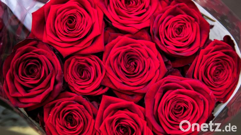 Nix mit roten Rosen und großer Liebe: Eine Partnervermittlerin aus dem Landkreis Amberg-Sulzbach kassierte Geld von einem Senior aus Franken und nannte es vor Gericht Geschenke. Bild: Christian Charisius/dpa