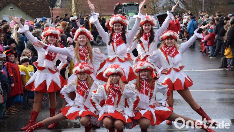 Die Garde des Faschingskomitees Schmidmühlen war einer der Farbtupfer des Faschingszuges in Dletldorf gewesen Bild: bö