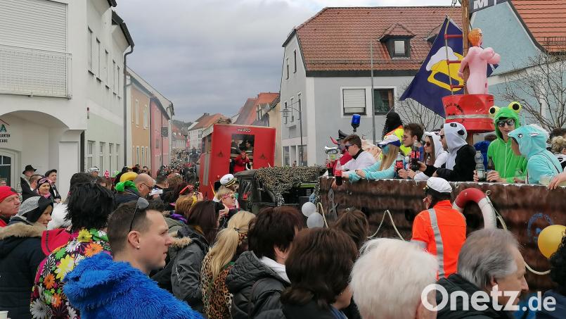 Dicht drängten sich die Besucher am Straßenrand, als die Faschingswägen durch Pfreimd zogen. Bild: wrl
