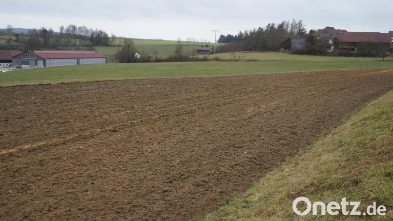 Das Areal der geplanten Freiflächen-Photovoltaikanlage liegt am Ortsrand von Pottenhof, links von der Straße zur Pottenhofer Mühle Bild: wel