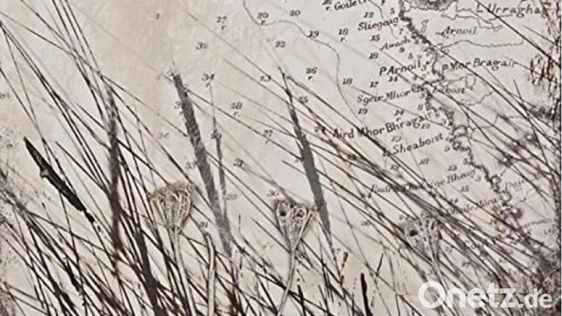 Rosie H Sullivan - 123° East (Nettwerk) Bild: Nettwerk