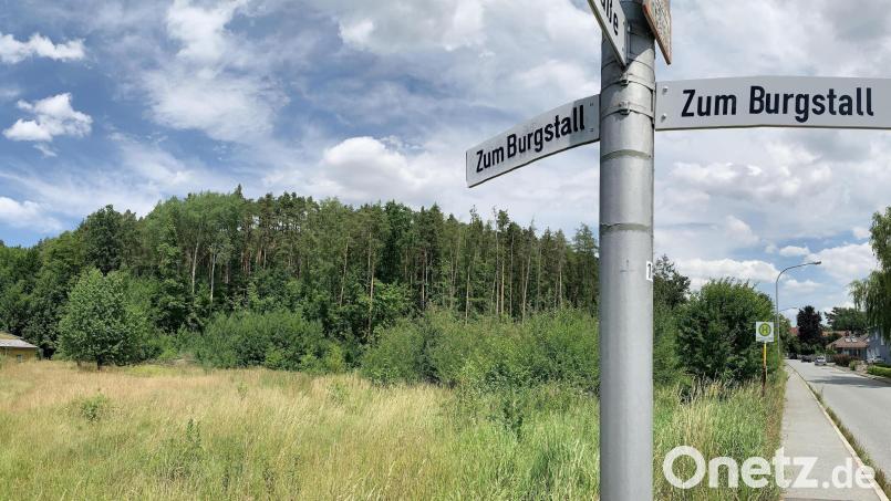 Auf dieser Fläche ist das Baugebiet &quot;Horbach&quot; vorgesehen. Archivbild: Gabi Schönberger