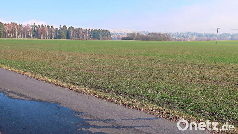 Eine Freifläche am östlichen Ortsrand von Friedenfels, am Radweg (vorne) von Friedenfels nach Voitenthan gelegen, wurde in das Projekt „Photovoltaikanlage Sonnenenergie Friedenfels/Voitenthan“ integriert. Bild: bsc