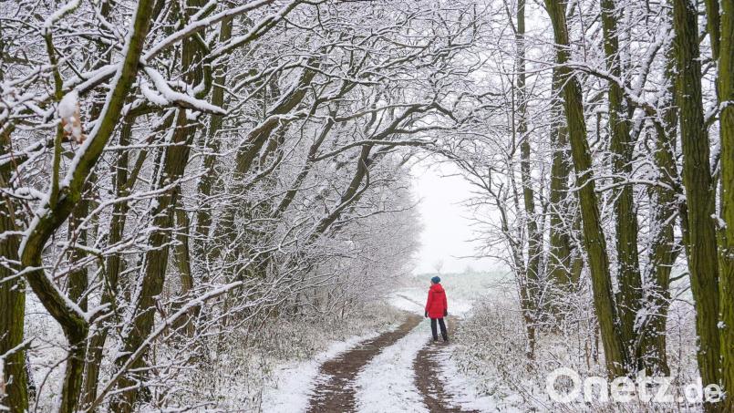 Mit Schnee bedeckt ist die Landschaft an einem Waldweg. Bild: Patrick Pleul/dpa-Zentralbild/dpa/Symbolbild