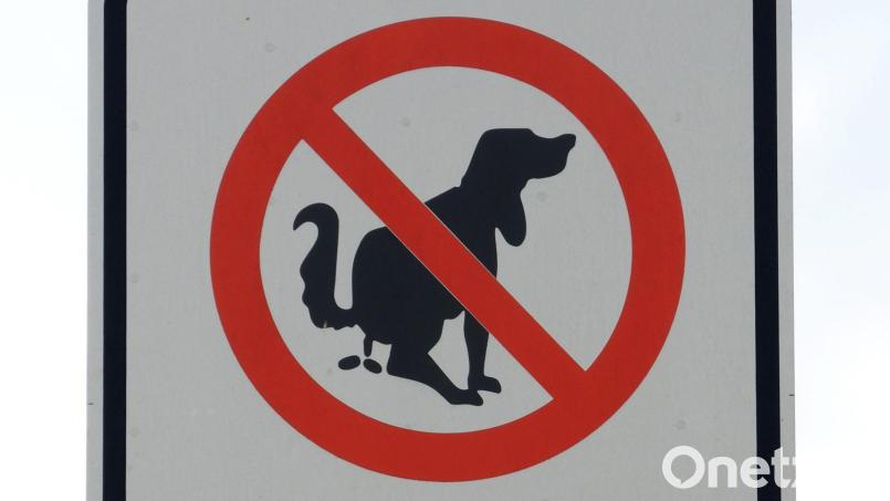 Hinterlassenschaften von Hunden finden sich in Tirschenreuth am Ziegelanger, am Maximilianplatz, am Fahrradweg bei der Kornbühlstraße und auch in der Bad- und Schmellerstraße. Die Stadt verhängt hier Bußgelder. Bild: Roland Holschneider/dpa