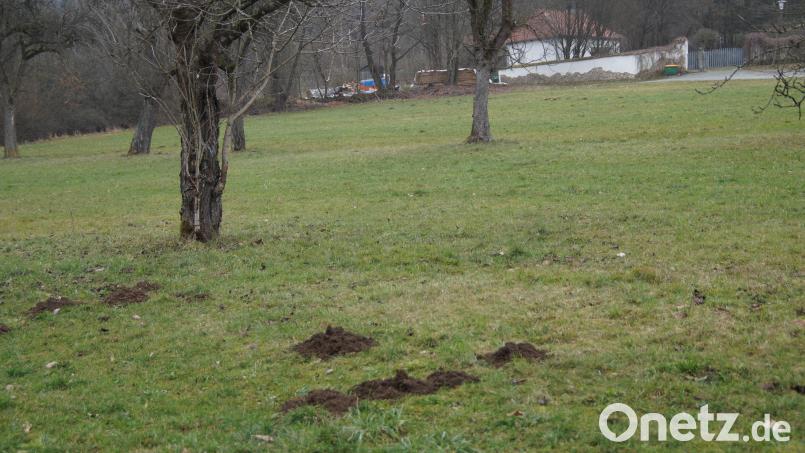 Für das Grünerwald-Anwesen am Ortsausgang von Gaisthal unterhalb des Friedhofs wurde ein Bebauungsplan erstellt. Die Erschließung des Baugebiets befindet sich auch bereits in der Planung Bild: wel