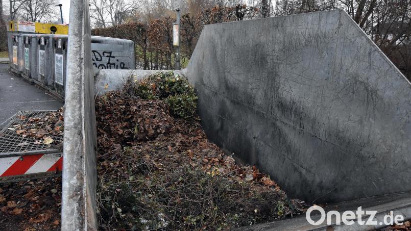 Ein Grüngutcontainer am Schießstätteweg. Nach der Winterpause werden die Container ab 6. März im Stadtgebiet wieder aufgestellt. Archivbild: Stephan Huber