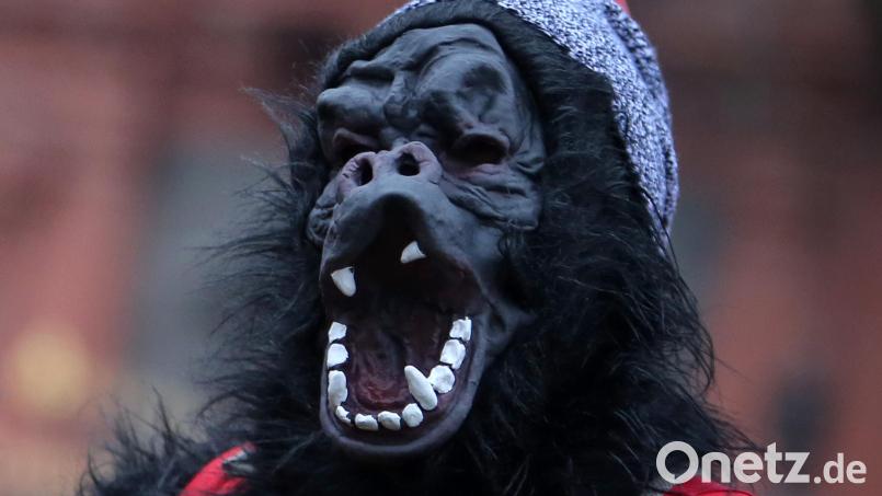 Die Amberger Polizei hat den Fall um den Masskrug werfenden Gorilla beim Riedener Faschingsumzug gelöst. Bild: Fredrik von Erichsen