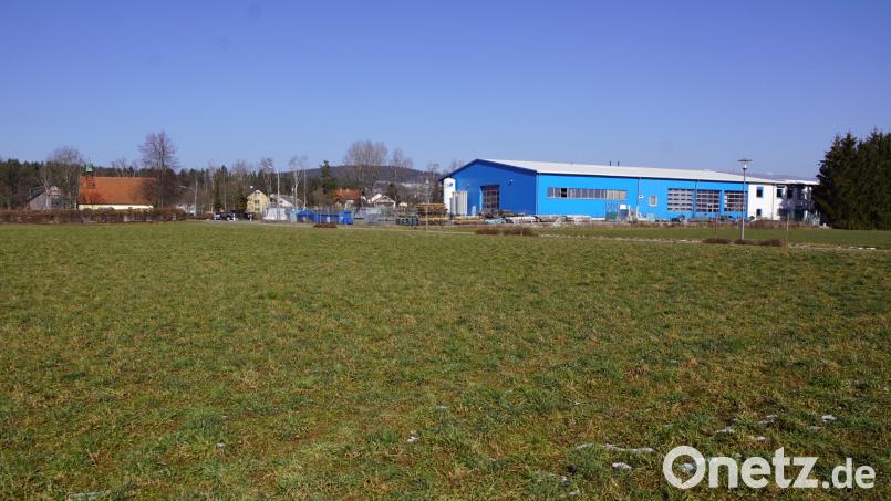Der westliche Teil des Gewerbegebietes soll einen attraktiven Zugang zur freien Landschaft erhalten. Eine Allee wurde zum Beispiel vorgeschlagen, um die Straße vom Friedhof zum Baugebiet "Steinäcker" einzugrünen. Bild: bkr