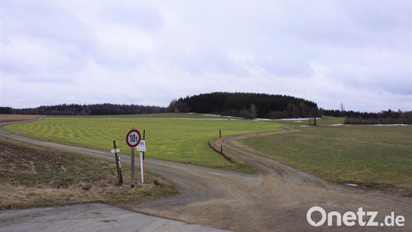 Das Gebiet &quot;Schönauer Wald&quot; (hinten), zwischen den Wegen nach Charlottenthal (links) und Schönau (rechts) an der Straße nach Schwarzach, wird als mögliche Gemeindefläche für Windkraftanlagen gemeldet. Bild: mmj