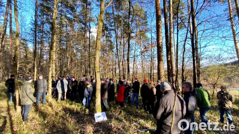 Wie die Balance zwischen Waldnutzung und -pflege gehalten werden kann, erfuhren interessierte Waldbesitzer im Neunburger Spitalwald. Es wurde auch erläutert, welche Baumarten in Zeiten des Klimawandels in den Wald der Zukunft gehören. Bild: Maderer/exb