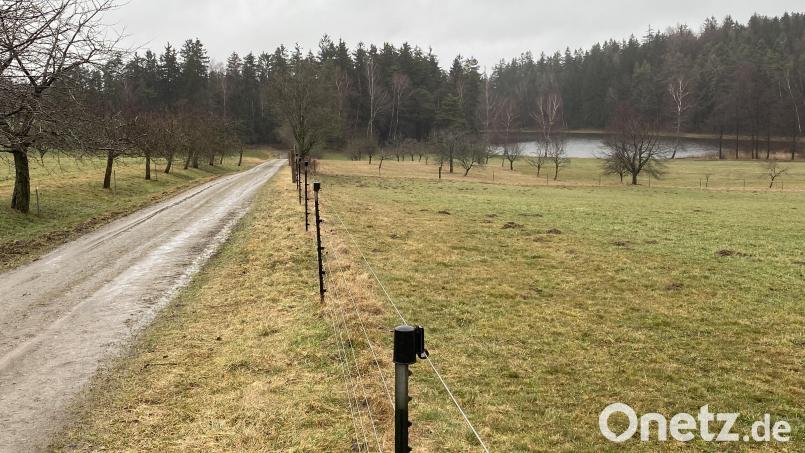 Der bisher in eine Richtung verlaufende „Obstlehrpfad&quot; (hier die Streuobstwiese beim &quot;Bursweiher&quot;) soll zu einem Rundweg ausgebaut werden und einen neuen Namen erhalten. Bild: Josef Glas