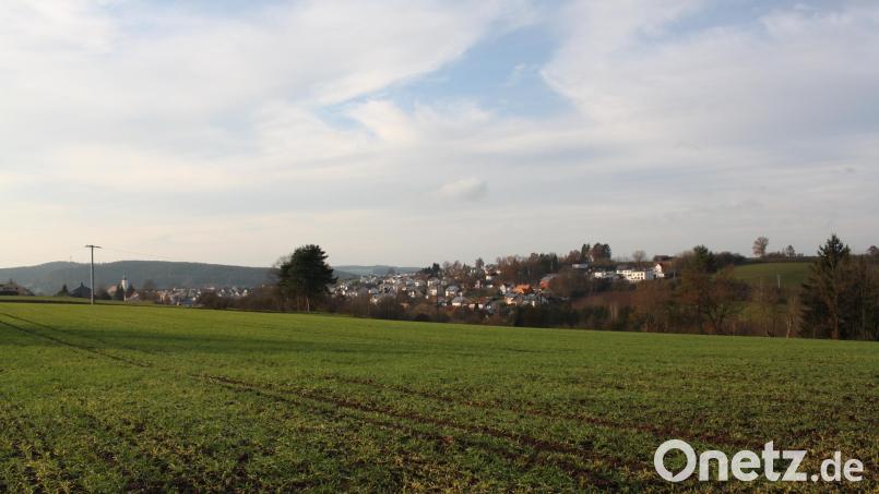 Die Planungen für das &quot;Schwarzleite&quot;-Baugebiet gehen weiter. Zunächst sind allerdings noch nichtöffentliche Angelegenheiten zu regeln. Über die Ergebnisse dieser Beratungen werden die Stadtverantwortlichen die Öffentlichkeit informieren. Bild: bjp