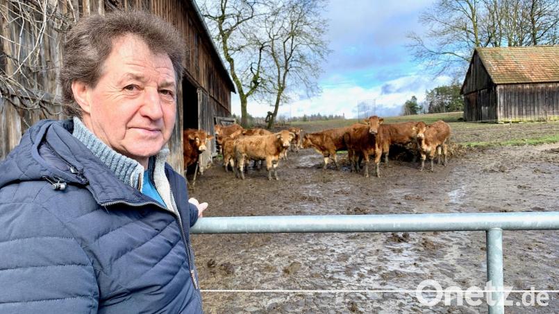 Ludwig Meier und seine Kühe, die ganzjährige auf der Weide stehen. Bild: Gabi Schönberger