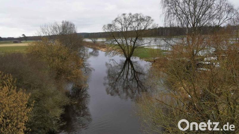 Der Regen ließ die Pfreimd zwischen Pfrentsch und Pfrentschweiher über die Ufer treten. Bild: gz