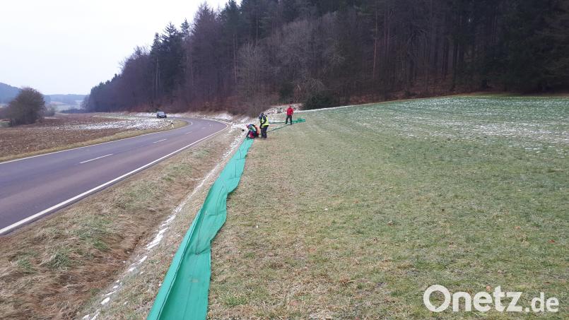 Freiwillige helfen beim Schutzzaun-Aufbau in Illschwang. Bild: Volker Glombitza