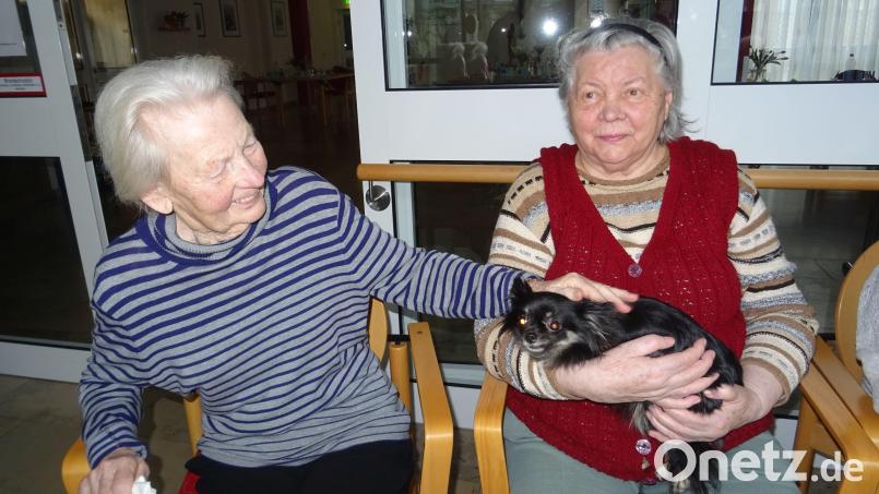 Eine Hundeschule brachte Abwechslung ins Marienheim: Chiuahua Luci bekam Streicheleinheiten von Edeltraud Lomitzki (links) und Tobeja Gerzen. Bild: Daniela Donhauser/exb