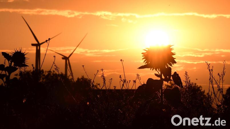 Windräder verschandeln jede Aussicht? Im Fall stimmt das nicht unbedingt. In Vorbach weist der Windatlas jedoch keine geeigneten Flächen aus. Archivbild: Petra Hartl