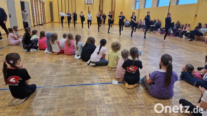 Das erste Schnuppertraining der Narrhalla Windischeschenbach war gut besucht. Für Interessierte gibt es noch zwei weitere Möglichkeiten, den Verein kennenzulernen. Bild: Zeitler/exb