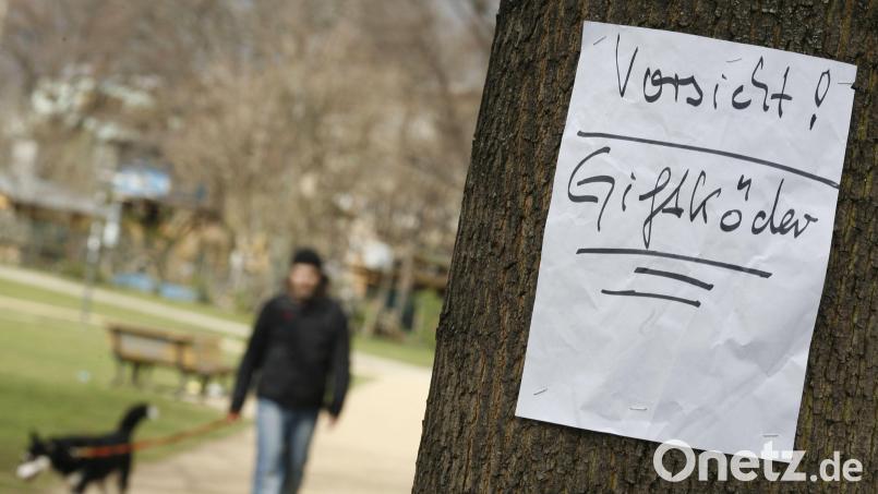 In Schwandorf ist wieder ein Giftköder entdeckt worden. Bild: Florian Schuh/dpa