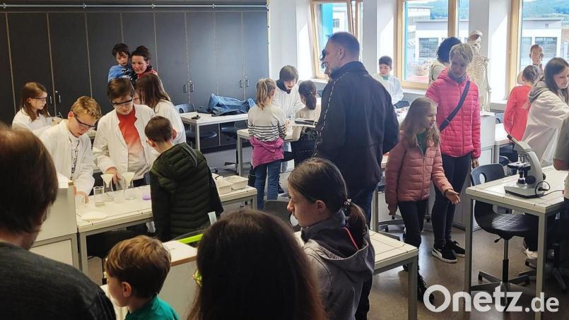 Ein buntes Programm von Schülern für Schüler und ihre Eltern: Der Tag der offenen Tür am Nabburger Gymnasium war eine runde Sache. Bild: Andreas Fröhlich/exb