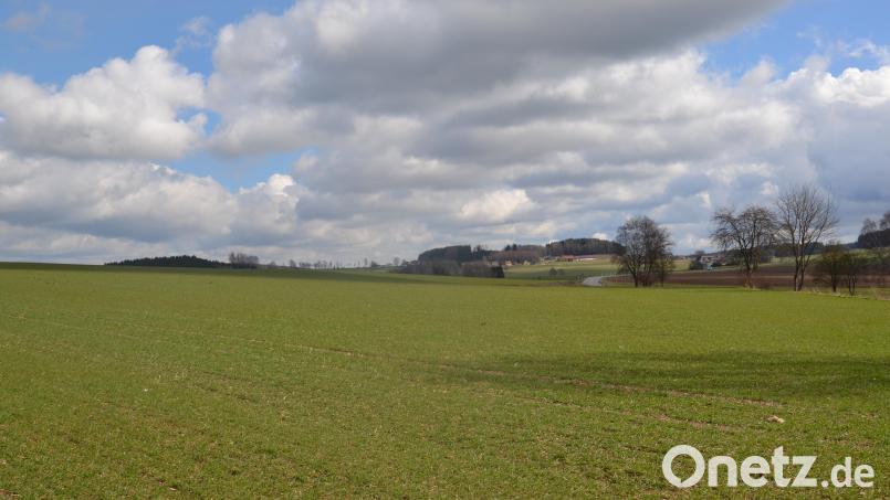 Moosbach erhält einen vierten Solarpark in Nähe der Staatsstraße nach Eslarn. Bild: gi