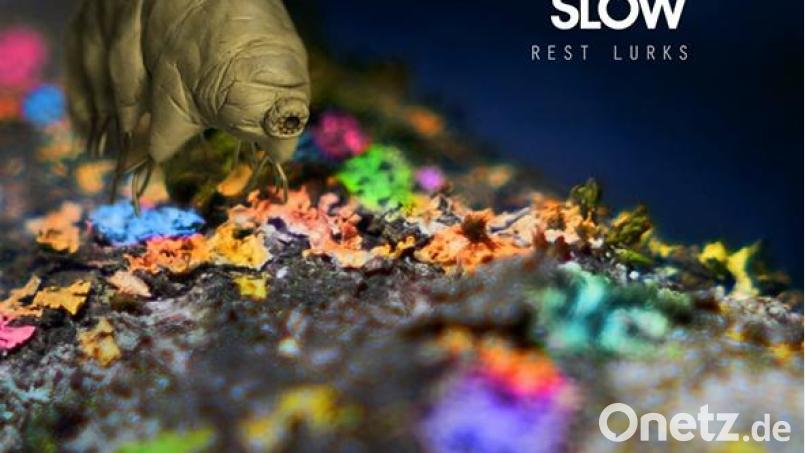 Lichen Slow - Rest Lurks (PIAS) Bild: Pias