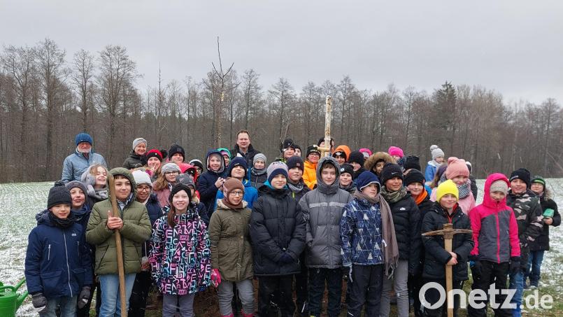 Die vierten Klassen der Grundschule Speichersdorf pflanzten bei einer Streuobstaktion, unterstützt vom Fichtelgebirgsverein und der Gemeinde, zwei Bäume an der Tauritzmühle. Bild: ak