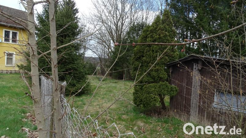 761 Quadratmeter verwilderte Grünfläche unmittelbar neben dem verkommenden Freihölser Bahnhofsgebäude: Die Gemeinde Fensterbach hat das Areal ersteigert und plant, einen Kinderspielplatz darauf einzurichten. Die Umgebung aber sollte ebenso geklärt werden. Denn die gemauerte Haltestation der DB bricht mehr und mehr in sich zusammen. Bild: Houschka