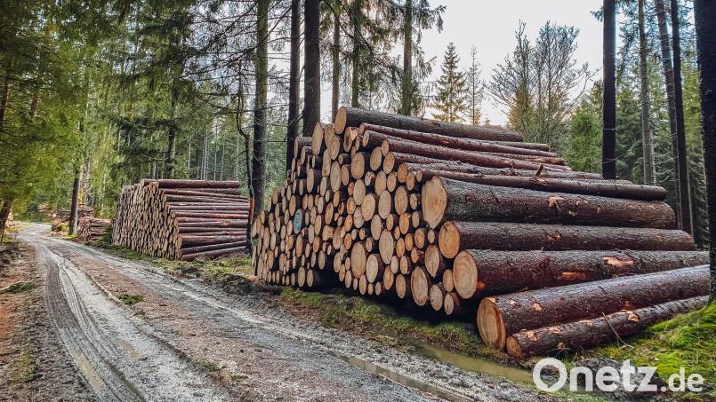 Im Wald der Stadt Bärnau und der Kommunal-GmbH läuft derzeit Frischholzeinschlag. Was heuer sonst noch ansteht und wie das Betriebsjahr 2022 ausfiel, erläuterten Förster Patrick Mauerer und Stefan Gradl im Stadtrat. Bild: Susanne Forster