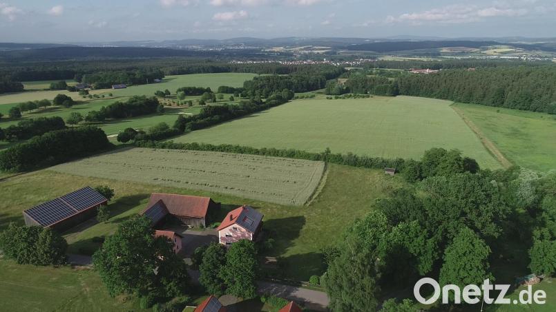 Östlich des Ortsteiles Gelpertsricht, eingerahmt von einem Baumbestand auf der linken Grundstücksseite und einer Hecke an der westlichen Grundstücksgrenze zu den Häusern Gelpertsrichts hin, soll auf der großen, im Bild hellgrün erscheinenden Fläche die neue Photovoltaikanlage errichtet werden. Links schließt sich ein Teil des Golfplatzes Schwanhof an. Dahinter auf der grünen Fläche wurde mittlerweile die Photolvoltaikanlage &quot;Forsthof&quot; errichtet. Bild: bey