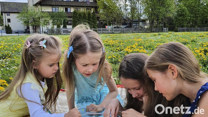 Ein Bild, wie gemalt: Tatsächlich haben die ukrainischen Familien mit ihren teils noch kleinen Kindern im Josefhaus in Hirschau (im Hintergrund) neben den Schrecken des Krieges ein Stück Idylle und Geborgenheit gefunden - auch dank der guten Betreuung und Ablenkung vor Ort wie hier beim Basteln mit Blumen auf der Wiese. Bild: Khrystyna Arsenova