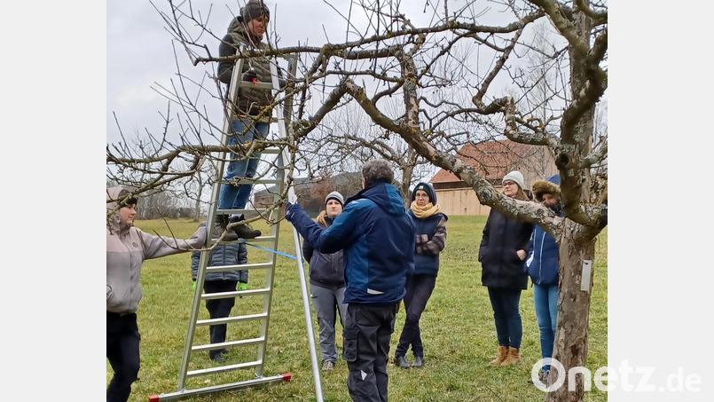 Die Studierenden der Landwirtschaftsschule Abteilung Hauswirtschaft in Nabburg versuchen sich in den erlernten Schnitttechniken. Bild: Thoma/AELF Nabburg/exb