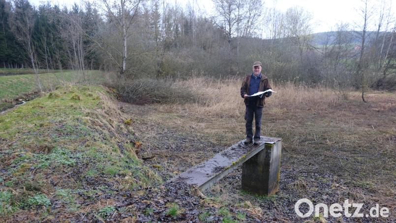 Peter Fröhlich, Naturschutzbeauftragter der Jäger in der Kreisgruppe Amberg, will wieder Leben in den trocken gefallenen Krumbachweiher bringen. Dieser soll ein Quartier für Amphibien werden. Bild: usc